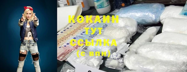 прущие грибы Пестово
